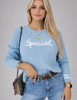 Special Knit Crew Neck Sweater